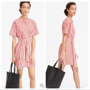 Everlane button Down shirt dress
